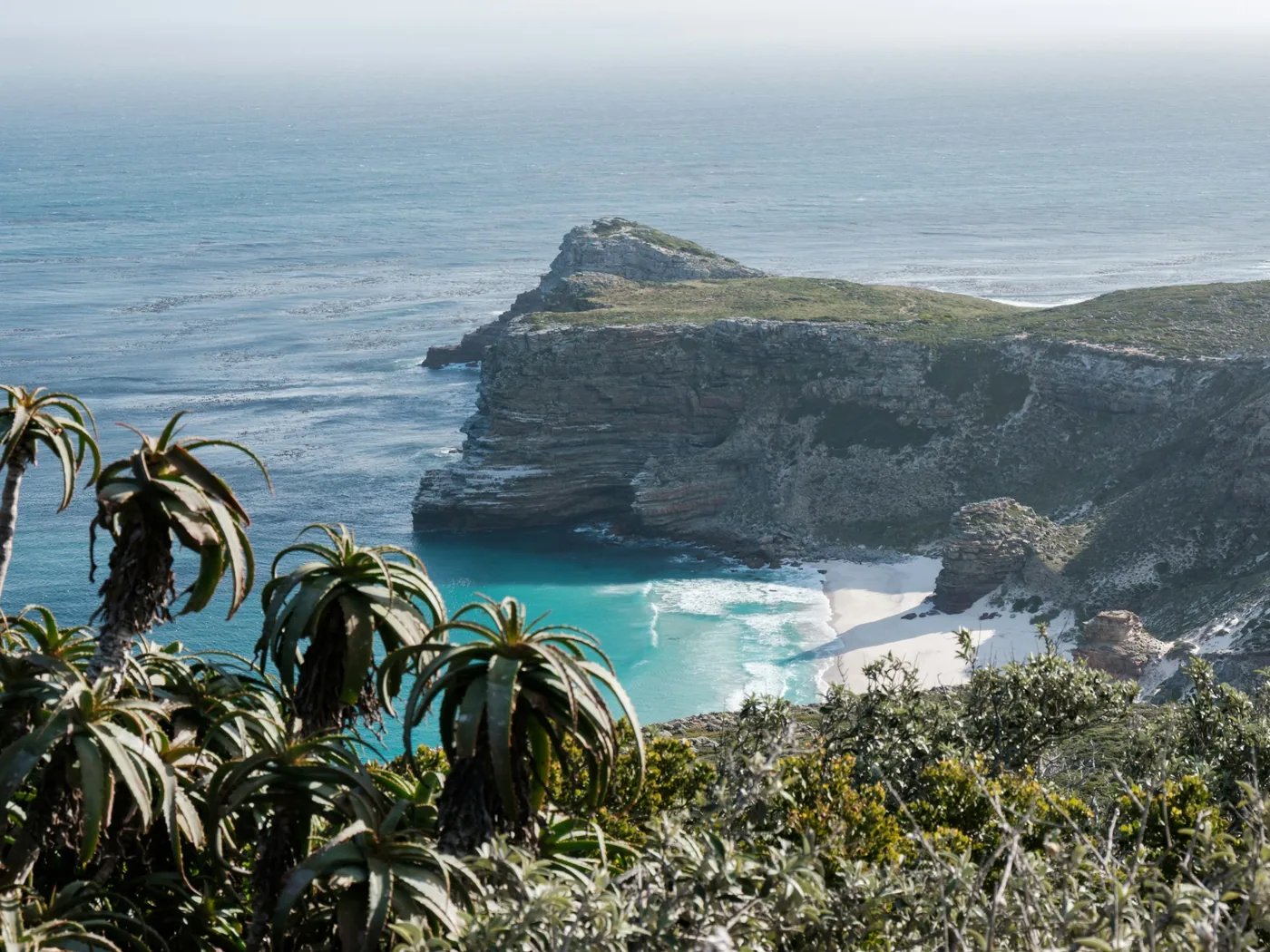 The rugged coastline of the Cape Peninsula